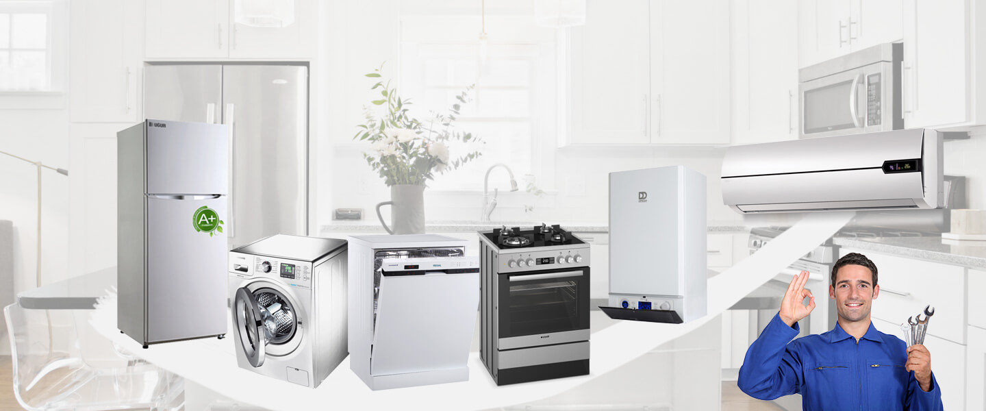 Altıntaş Gaggenau Servisi